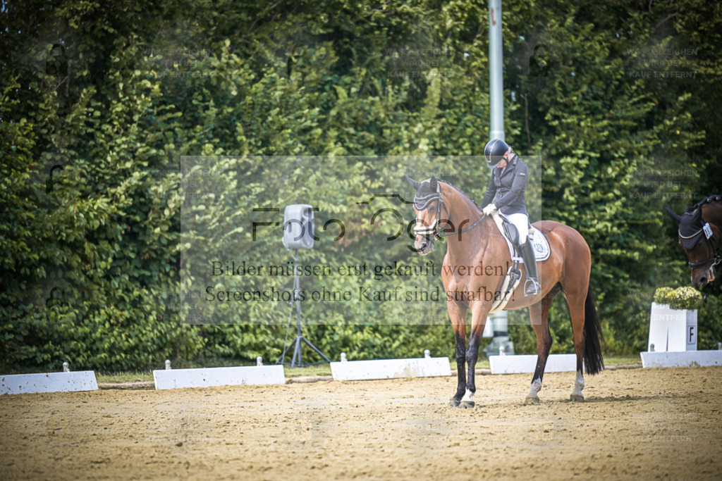 DOS_6931 | Entdecke hochwertige Reitturnierfotos von Foto Oger. Professionell, emotional und authentisch – jetzt Lieblingsmomente im Shop bestellen. - Realisiert mit Pictrs.com