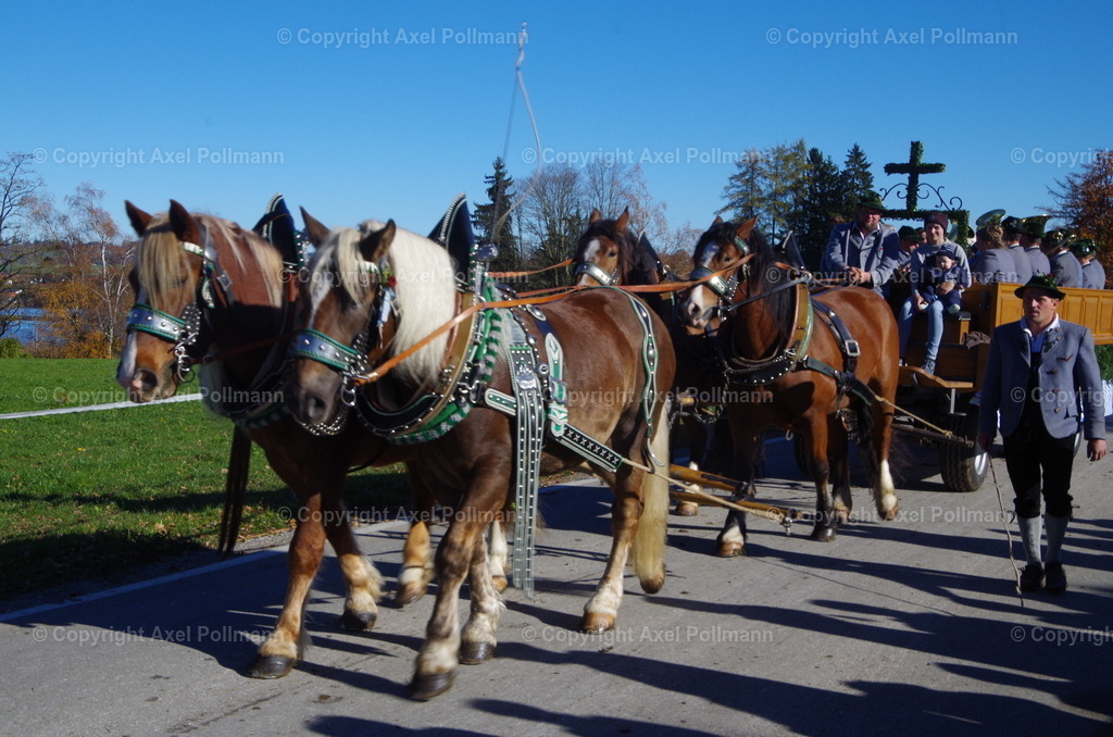 IMGP8236 | fotografiert von Axel PollmannLeonhardi Wallfahrt Benediktbeuern und Murnau, Fronleichnam, Fasching, Landschaft im Loisachtal und Benediktbeuern  - Realisiert mit Pictrs.com