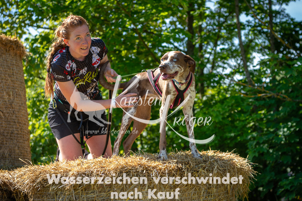 1020STR_5366 | kk-dogfotos