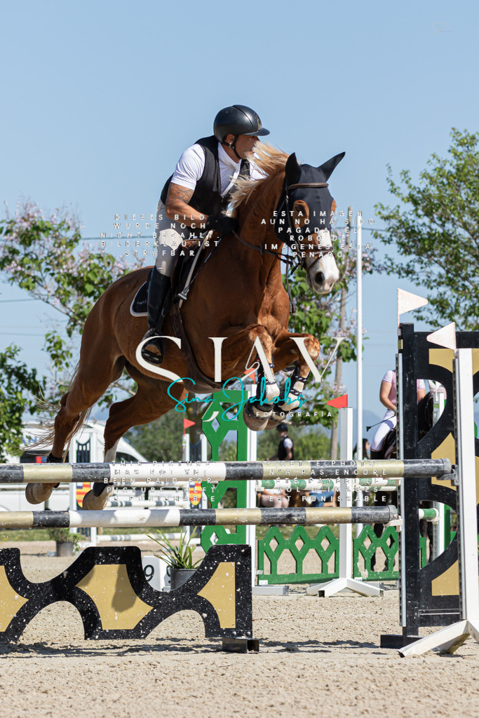 IMG_0877 | s-jay-photography - Realisiert mit Pictrs.com