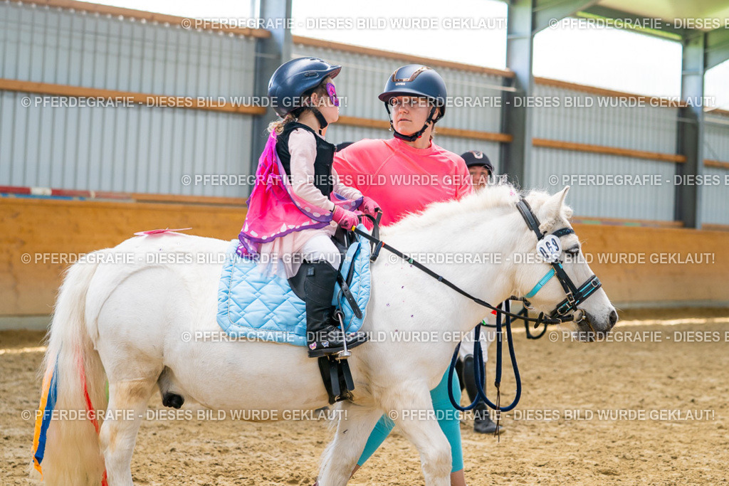 DSC09878 | Pferdegrafie