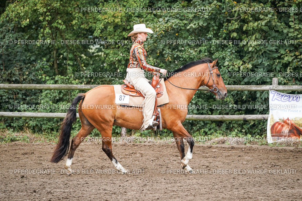 DSC02001 | Pferdegrafie