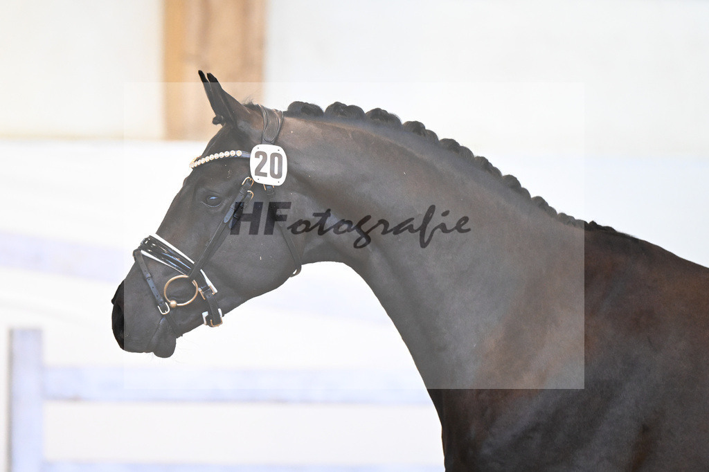 Kat-Nr. 20 v. Marc Cain_Seiler_6240448 | hf-fotografie - Realisiert mit Pictrs.com