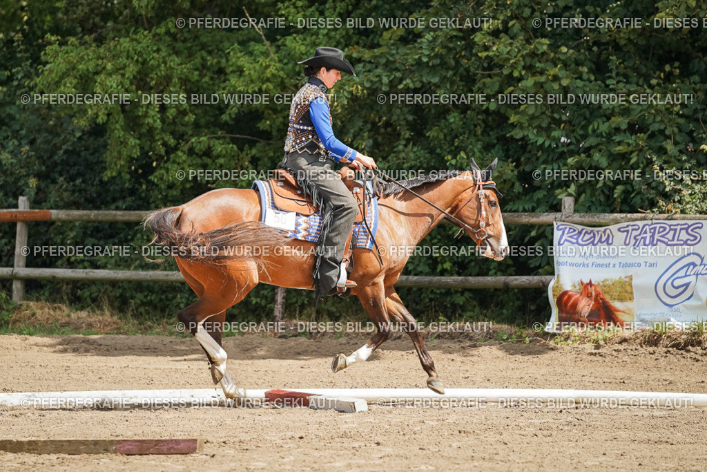 DSC06157 | Pferdegrafie