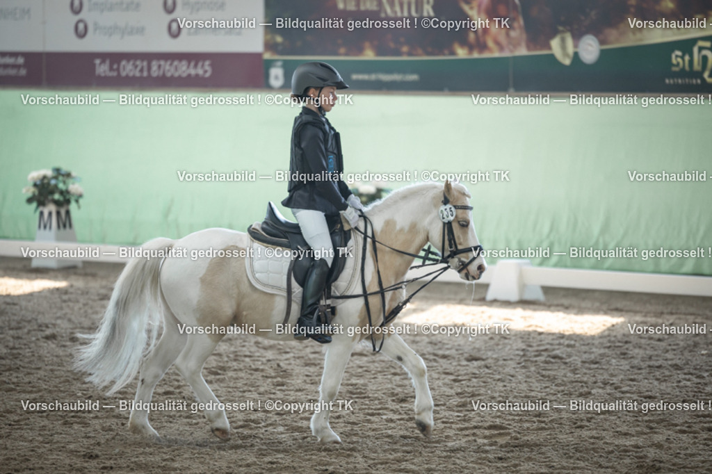 _D5A8815 | Emotionale Pferde- & People-Fotografie rund um Heidelberg, Leimen & Umgebung. Natürliche Fotos von Pferd, Mensch & Familie. Jetzt Termin sichern!