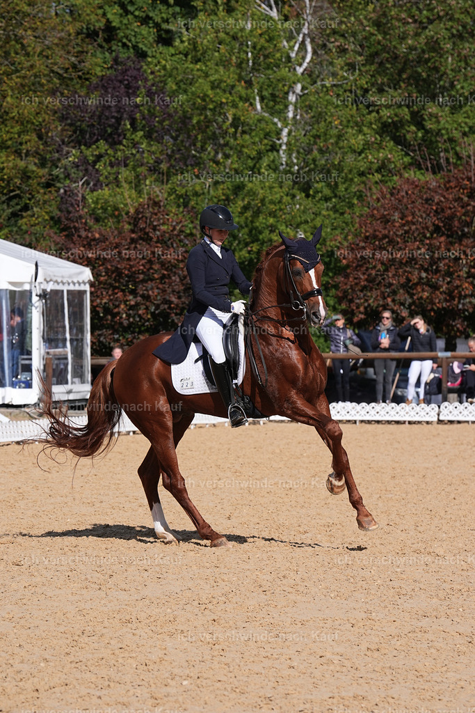 09_2-223-DRESSUR  S_  -Marixx-5950 | working equitationturnier fotograf videograf stoibphotography marixx film working equitation deutschland reitsport turnierfotografie eventfotografie equestrian events