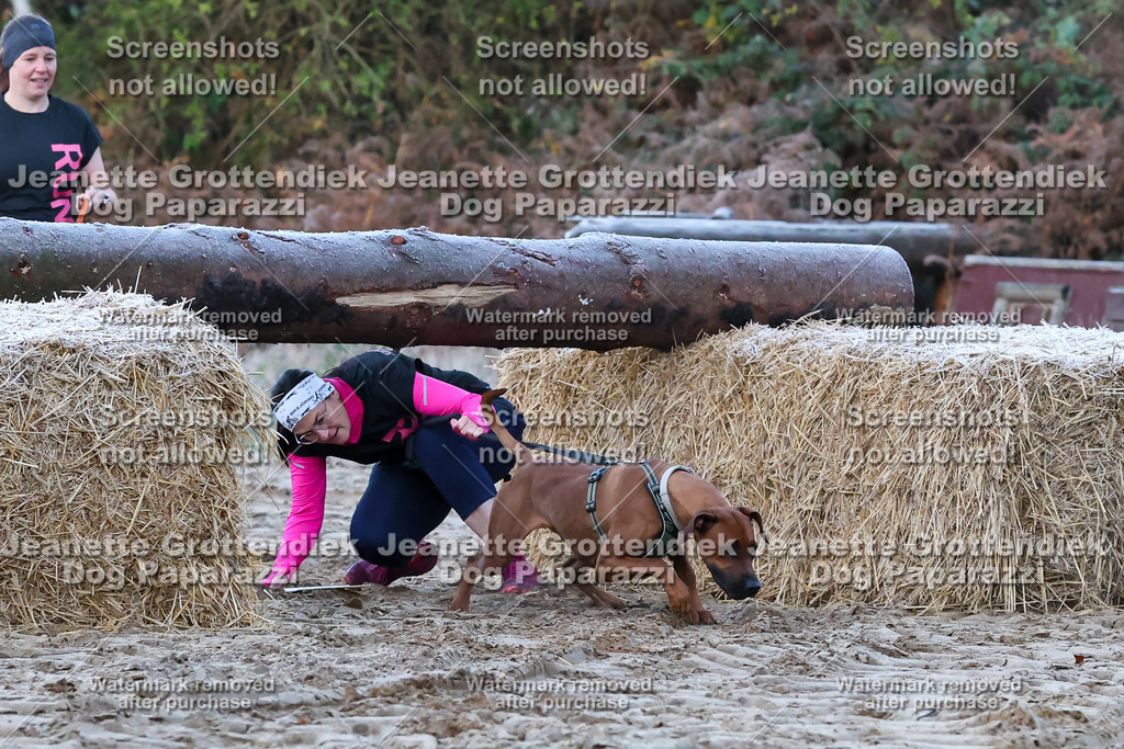 Dog Paparazzi - Strongdog 10-25-37 | Dog Paparazzi Jeanette Grottendiek Fotografie & Videografie - Realisiert mit Pictrs.com