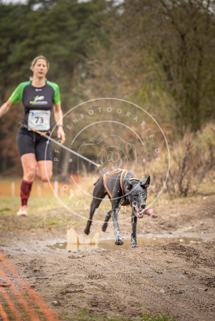 DV3A0245 | Hundefotografie, Tierfotograf, Pfotenfotografie, Fotoshooting Hund, Hunde Portrait, Hundesport, Hundeportraits, Heideshooting, Hunde, Sportfotograf, Hundefotograf, Turnierhundsport, THS,  - Realisiert mit Pictrs.com