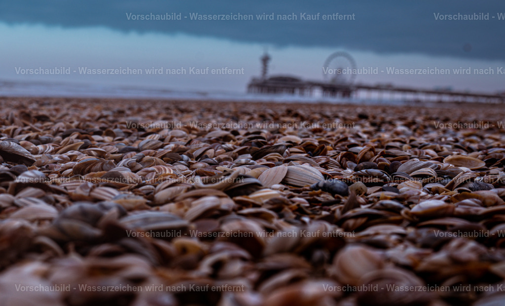 DSC05252-4 | marcuslinek