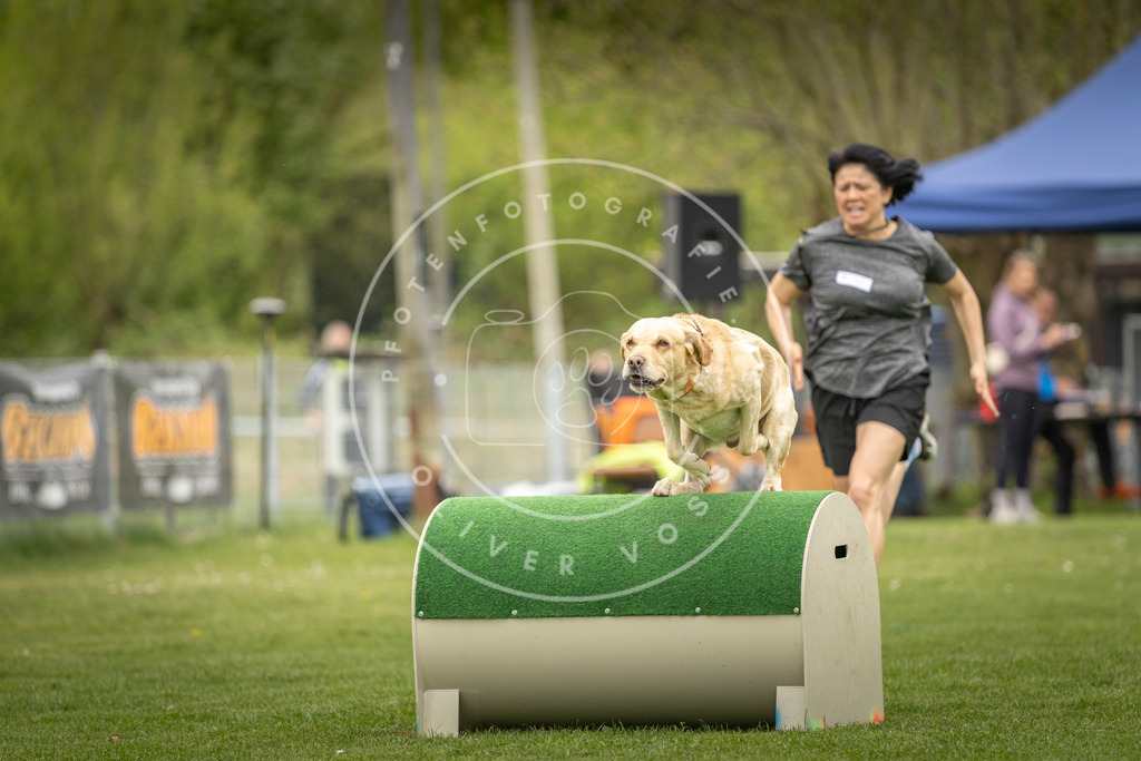 Pfotenfotografie_DV3A1123 | Hundefotografie, Tierfotograf, Pfotenfotografie, Fotoshooting Hund, Hunde Portrait, Hundesport, Hundeportraits, Heideshooting, Hunde, Sportfotograf, Hundefotograf, Turnierhundsport, THS,  - Realisiert mit Pictrs.com