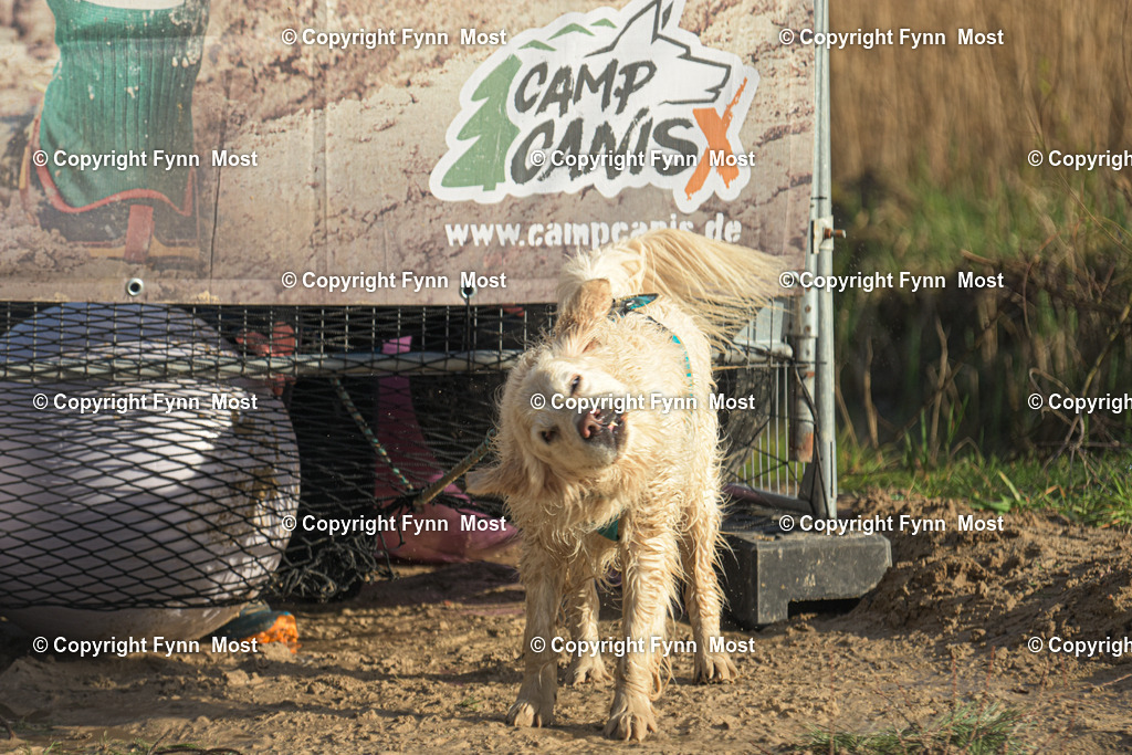 DSC_0220 | Hallo und herzlich Willkommen auf meiner Shop-Seite Fynn Most.

Ich wünsche Dir viel Spaß beim stöbern durch die Bilder, wenn Du Fragen hast oder Bilder vermisst, kannst du mir gerne eine Nachricht schreiben. - Realisiert mit Pictrs.com