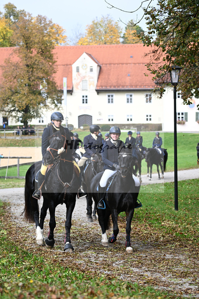 40250039 | hf-fotografie - Realisiert mit Pictrs.com