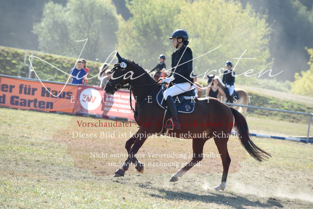DSC_5811 | Pferde- und Turnierfotografie in Westsachsen. Pferdeportraits, Auftragszeichnungen und intuitive Kunst.