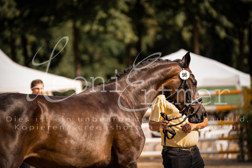 FrER00168 | Leoni Ertmer Photography - Realisiert mit Pictrs.com