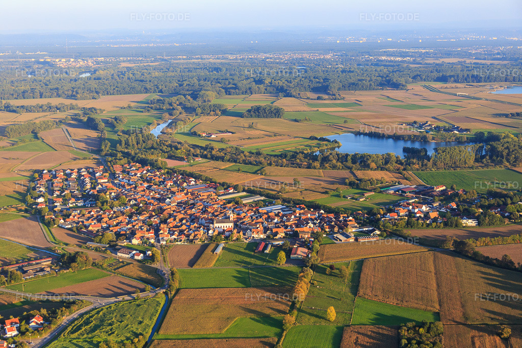 Luftbild: Dorfansicht von Nordwesten in Neupotz im Bundesland Rheinland-Pfalz in Deutschland. Foto: IMG_073147.jpg vom 23.09.2014 durch Werner Riehm/FLY-FOTO.de