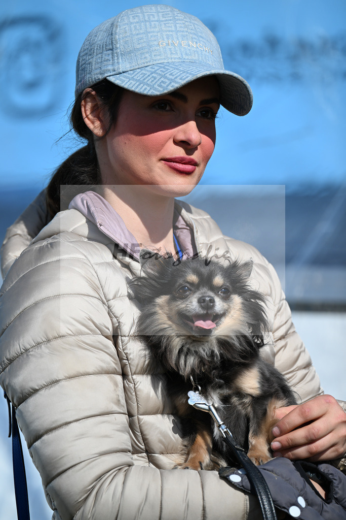 Equistro Dressurderby_26268060 | hf-fotografie - Realizzato con Pictrs.com