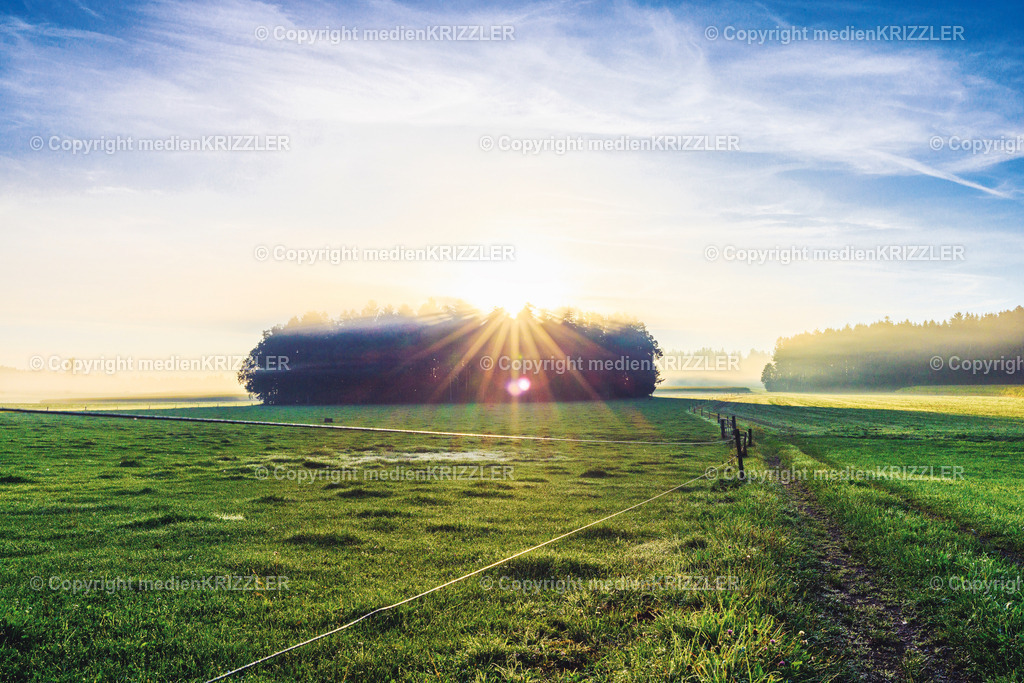 _J3A8545 | medienkrizzler - Realisiert mit Pictrs.com