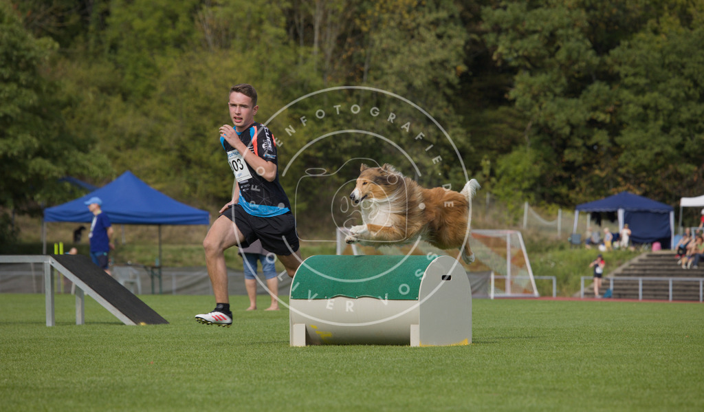 0L8A3532 | Hundefotografie, Tierfotograf, Pfotenfotografie, Fotoshooting Hund, Hunde Portrait, Hundesport, Hundeportraits, Heideshooting, Hunde, Sportfotograf, Hundefotograf, Turnierhundsport, THS,  - Realisiert mit Pictrs.com