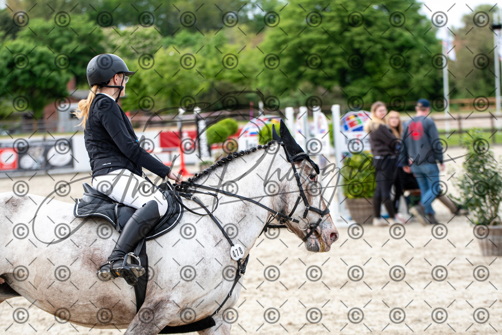 KPT_6896 | andre_photographic