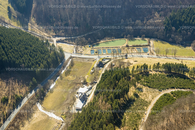 Schmallenberg220303616 | Luftbild, Fischteiche in Inderlenne an der Winterberger Straße, Landesstraße L640, Oberkirchen, Schmallenberg, Sauerland, Nordrhein-Westfalen, Deutschland