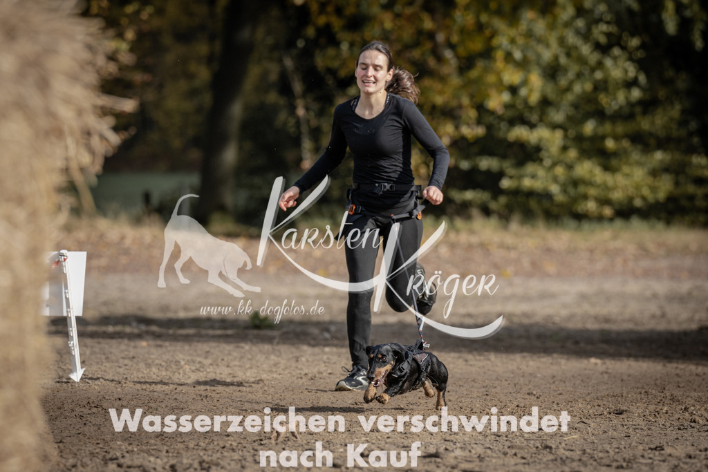 1213_ZZ93709 | kk-dogfotos