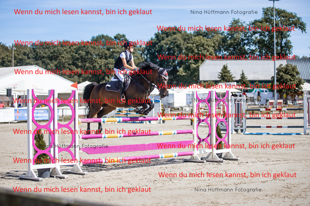 BK1A6767 | Turnierbilder Turnierfotos Nina Hüffmann Turnierfotografie Pferdefotografie Tierzeichnung Haustierzeichnung Pferdezeichnung Hundezeichnung Videograf  - Realisiert mit Pictrs.com