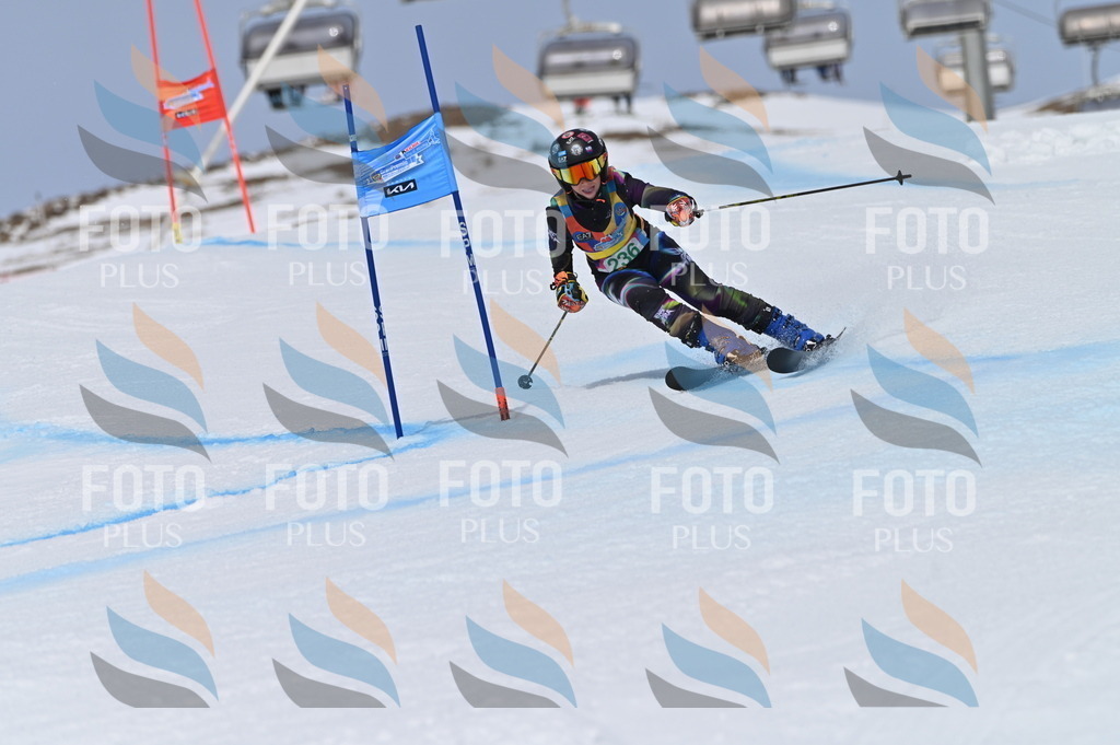 BGV_4685 | holidayphoto