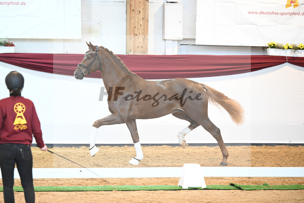 Kat-Nr. 74 v. Le Formidable_Maier_66220337 | hf-fotografie - Realisiert mit Pictrs.com