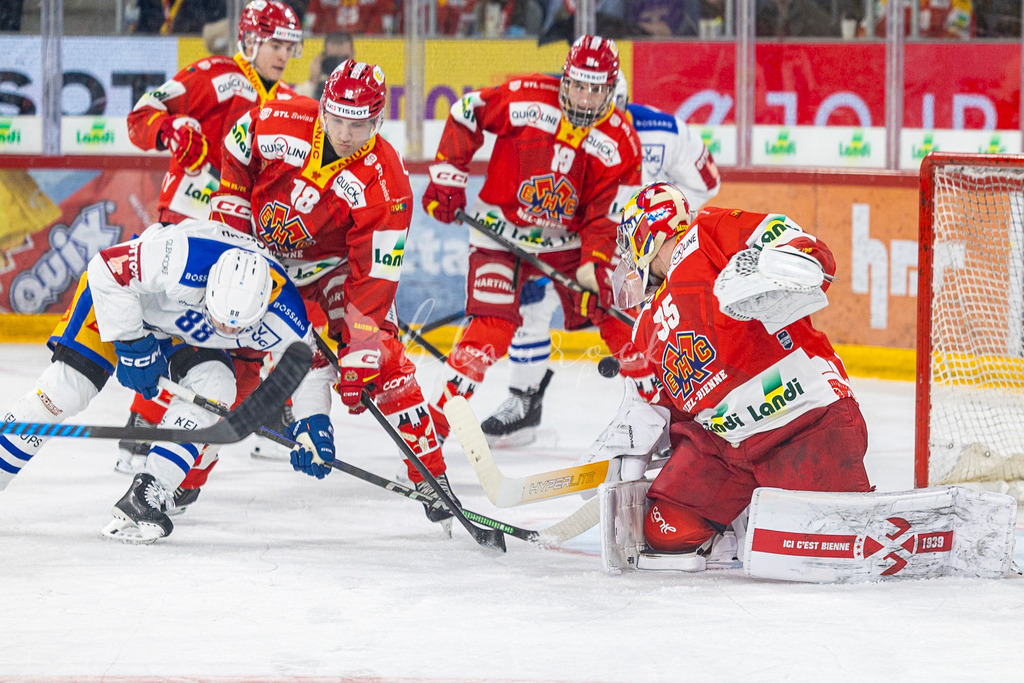 EHCB vs EVZ 20260227_WB-7554 | Sportbilder, Sportfotograf, Hochzeits- und Eventfotografin, Flugshows, Portraits und Tiershooting, Aviation, Downhill, Nationalleague, Swissleague, International