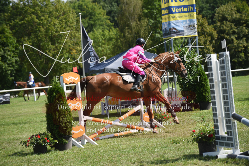 DSC_0241 | Pferde- und Turnierfotografie in Westsachsen. Pferdeportraits, Auftragszeichnungen und intuitive Kunst.