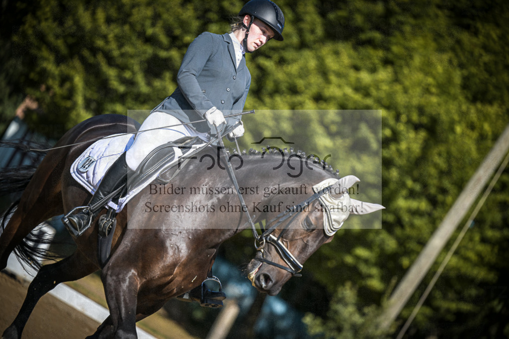 DOS_2436 | Entdecke hochwertige Reitturnierfotos von Foto Oger. Professionell, emotional und authentisch – jetzt Lieblingsmomente im Shop bestellen.Deutschlandweite Turnierfotografie. - Realisiert mit Pictrs.com