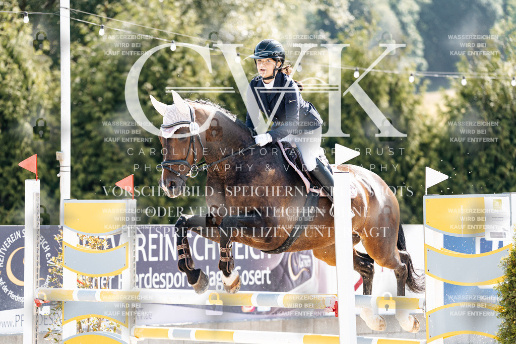 CK908160 | Turnierfotografie Pferdefotografie Trier Rheinland-Pfalz Pferdesport Reitsport Tierfotografie Sportfotografie Pferdevideo Pferdevideografie Equestrianvideography equestrianphotography  - Realisiert mit Pictrs.com