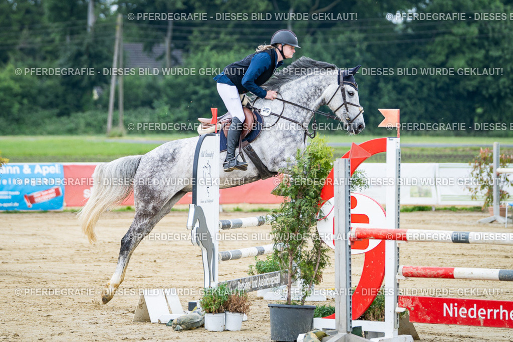 DSC03398 | Pferdegrafie