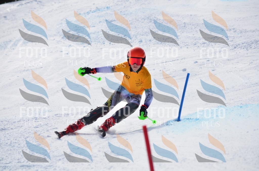 C9890 | holidayphoto