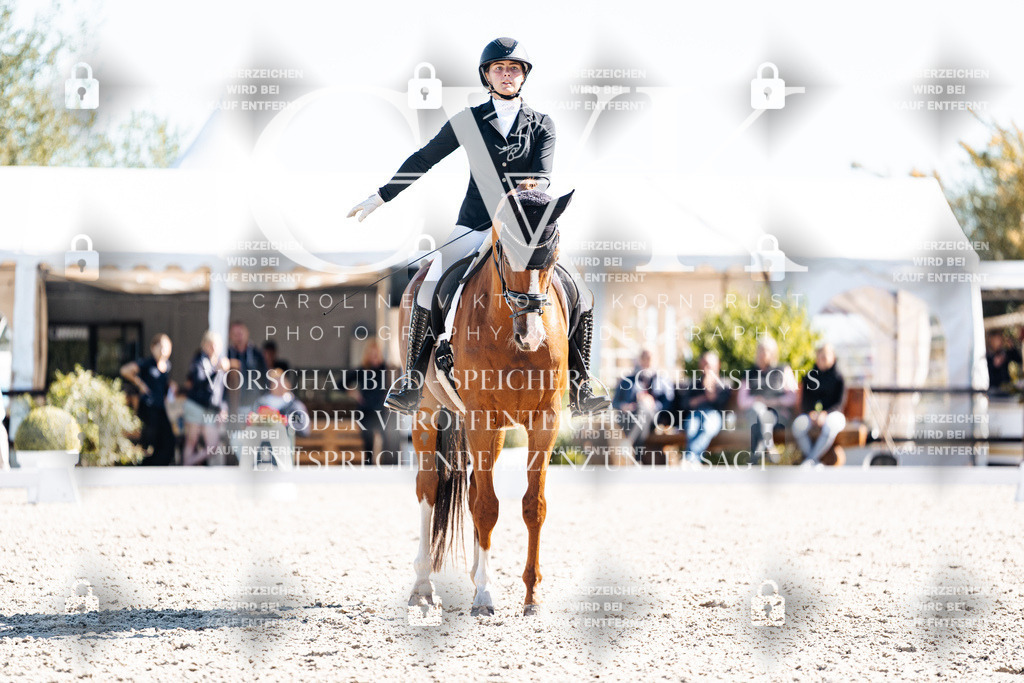 CK909126 | Turnierfotografie Pferdefotografie Trier Rheinland-Pfalz Pferdesport Reitsport Tierfotografie Sportfotografie Pferdevideo Pferdevideografie Equestrianvideography equestrianphotography  - Realisiert mit Pictrs.com