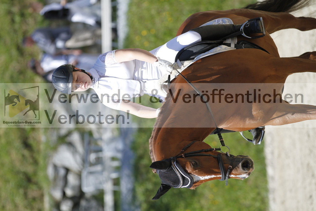 _MG_3732 | equestrian-live-com