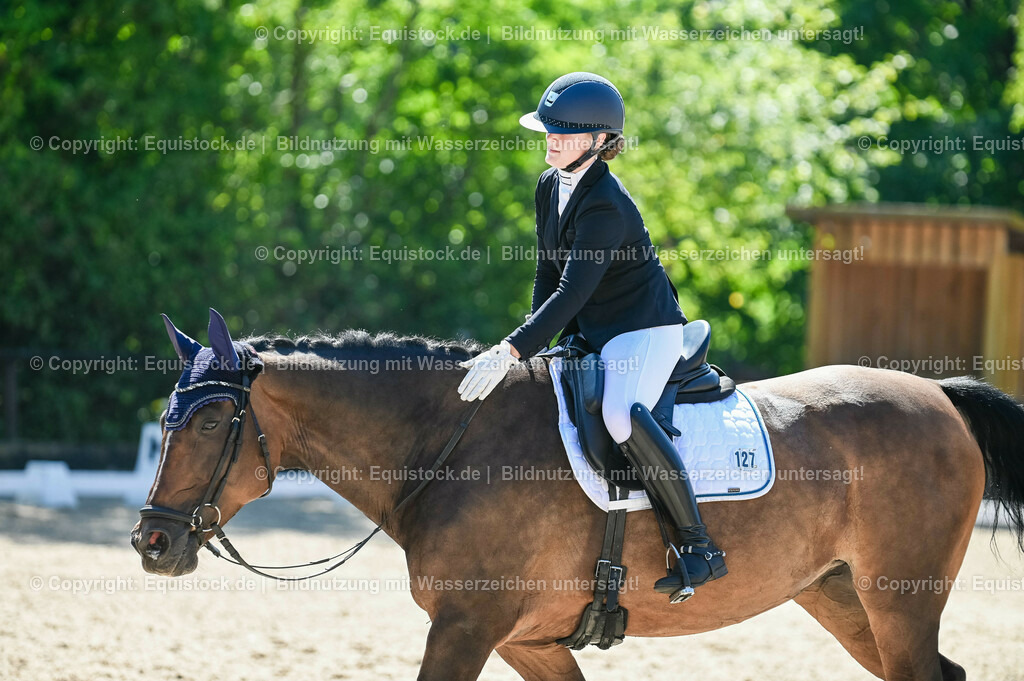 20230908_06_Dressur-L-Trense_0508 | equistock