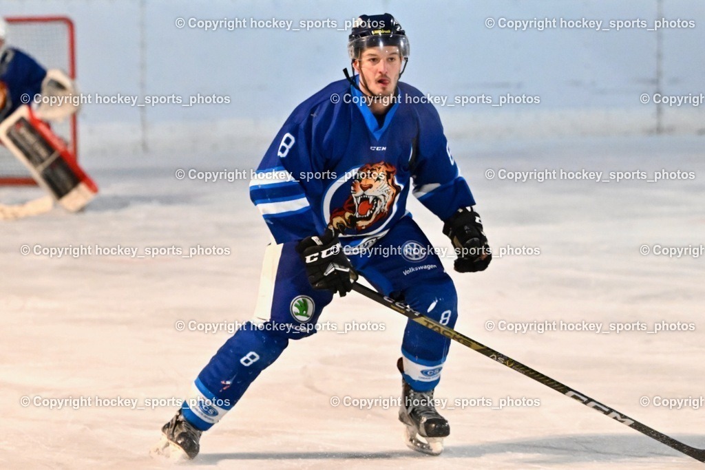 EC Ice Tigers Paternion vs. DSG Ledenitzen Faakersee 14.1.2024 | #8 Ortner Sandro