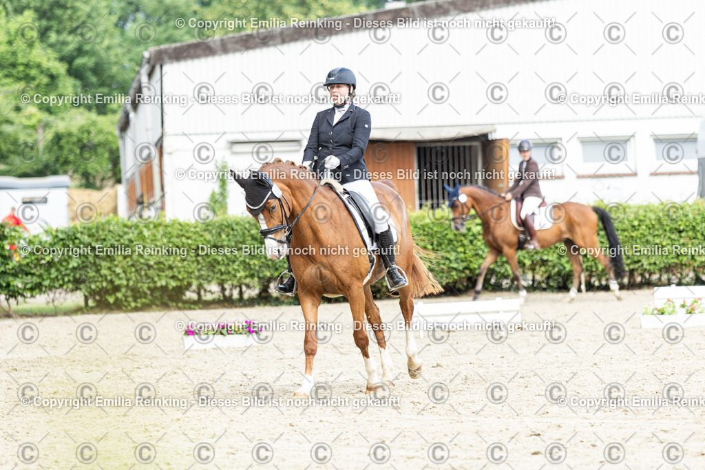 CL5A6674-2 | Emilia Reinking Fotografie - Realisiert mit Pictrs.com