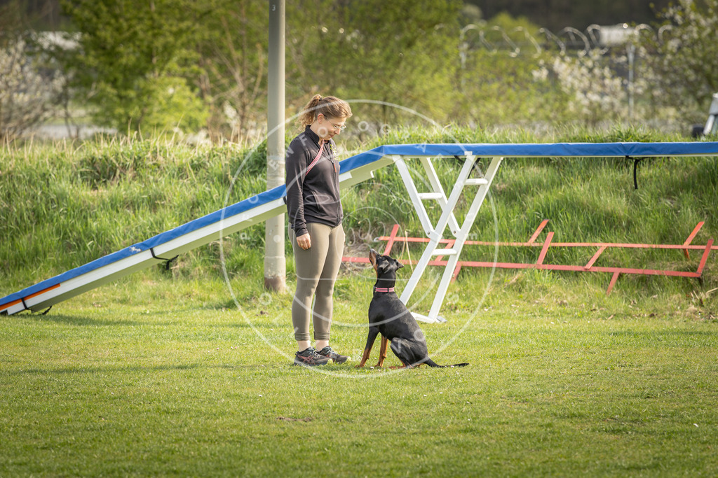 Pfotenfotografie_DV3A5010 | Hundefotografie, Tierfotograf, Pfotenfotografie, Fotoshooting Hund, Hunde Portrait, Hundesport, Hundeportraits, Heideshooting, Hunde, Sportfotograf, Hundefotograf, Turnierhundsport, THS,  - Realisiert mit Pictrs.com