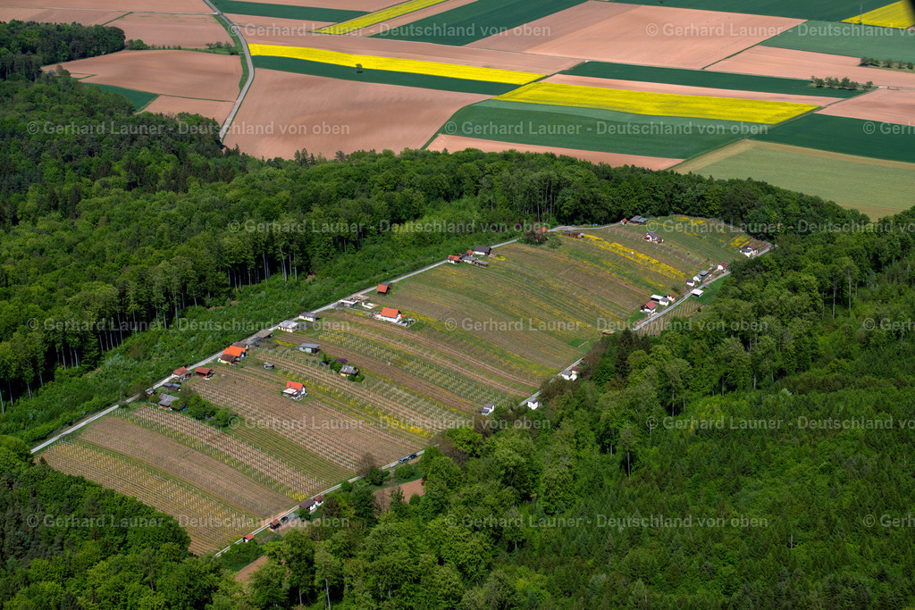 3500802 | Weinberg bei Großwallstadt