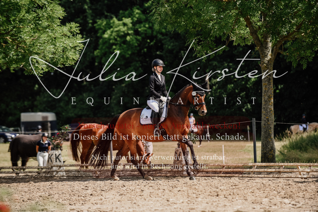 DSC_0942 | Pferde- und Turnierfotografie in Westsachsen. Pferdeportraits, Auftragszeichnungen und intuitive Kunst.