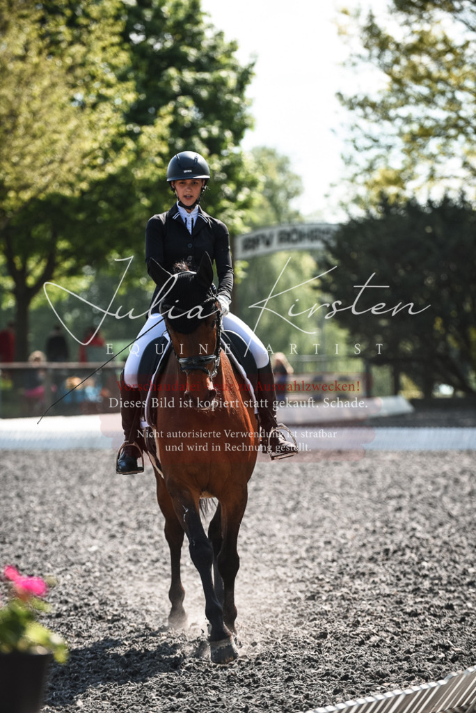 DSC_8926 | Pferde- und Turnierfotografie in Westsachsen. Pferdeportraits, Auftragszeichnungen und intuitive Kunst.