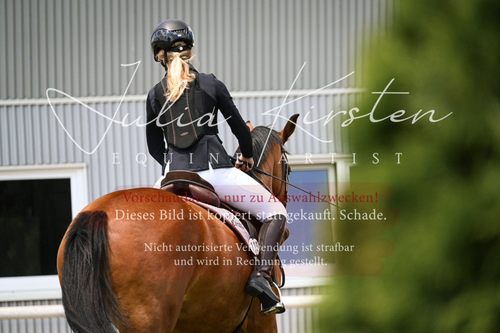 DSC_9272 | Pferde- und Turnierfotografie in Westsachsen. Pferdeportraits, Auftragszeichnungen und intuitive Kunst.