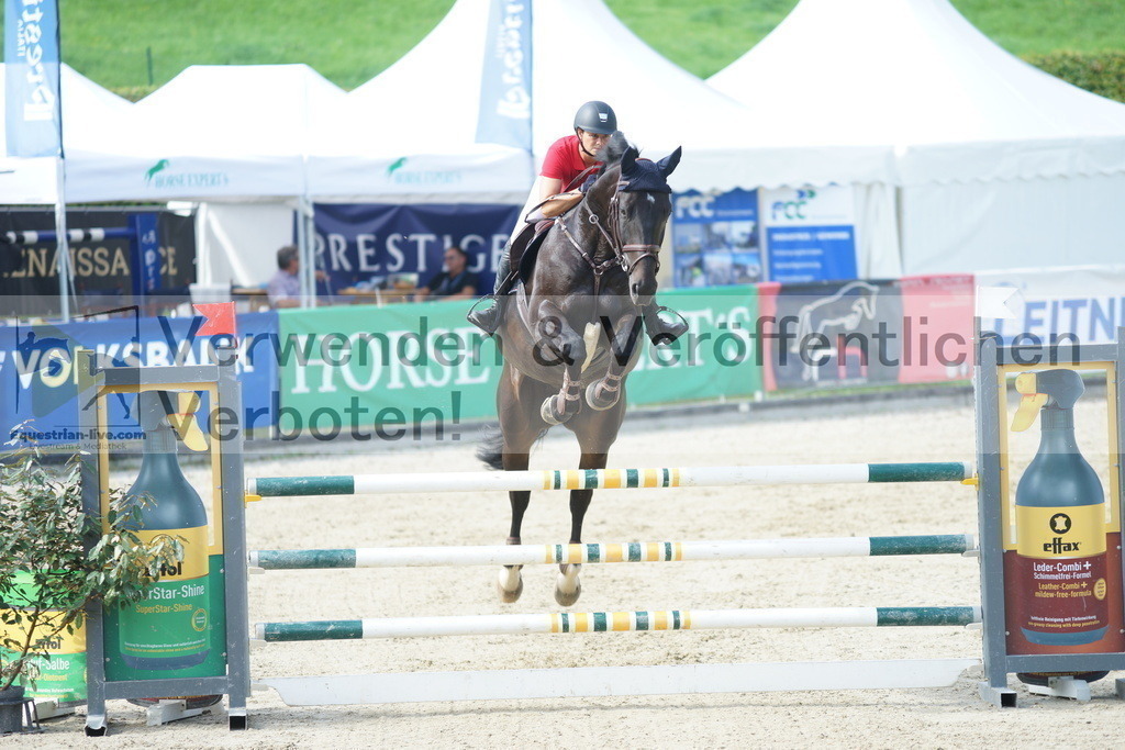 DSC09272 | equestrian-live-com
