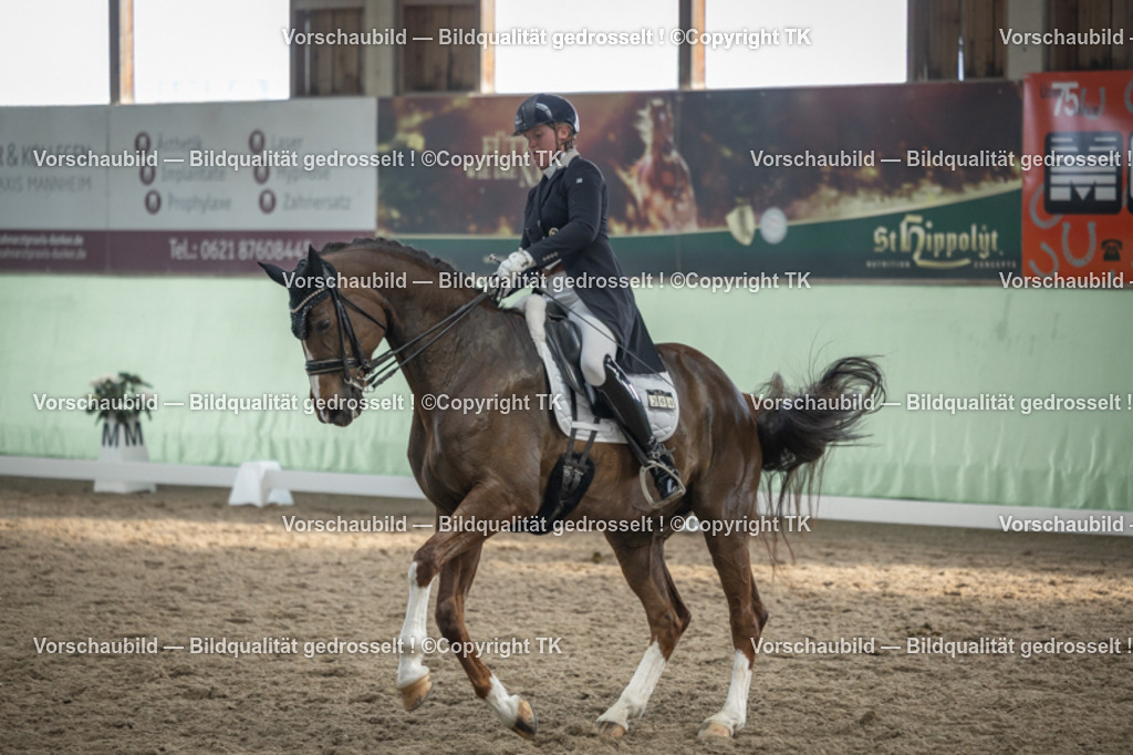 _D5A6653 | Emotionale Pferde- & People-Fotografie rund um Heidelberg, Leimen & Umgebung. Natürliche Fotos von Pferd, Mensch & Familie. Jetzt Termin sichern!