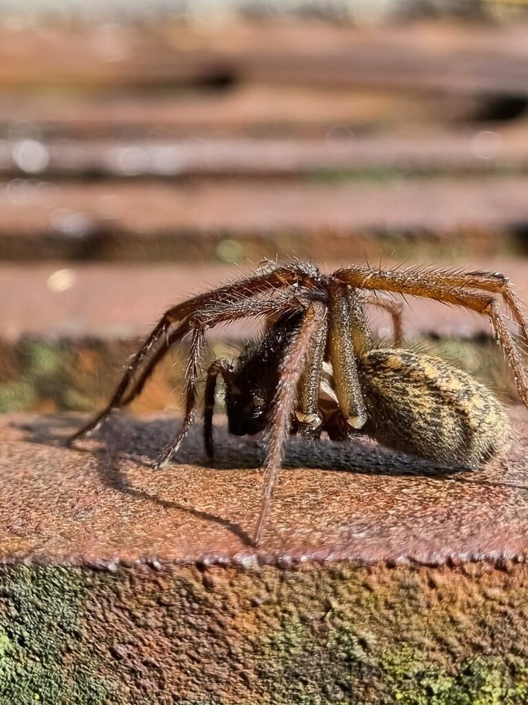 PSX_20221004_224451 | mtkfoto_ - Realisiert mit Pictrs.com