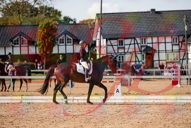 2026_10_03_Siefer-Hof_133611_Z63_96173841 | Professionelle Reitsport-, Turnier- und Eventfotografie von Robert Broda. Galerien mit ausgewählten und bearbeiteten Bildern direkt online ansehen und bestellen.