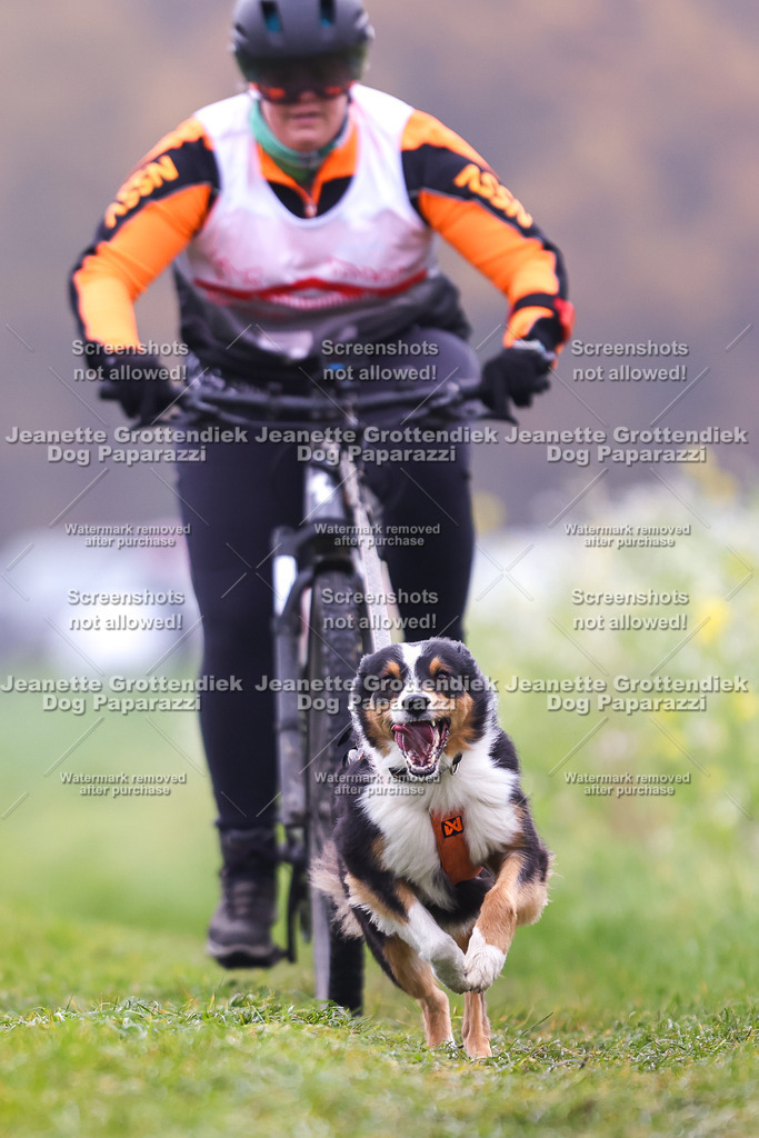 Dog Paparazzi - Visbeck 25 -219 | Dog Paparazzi Jeanette Grottendiek Fotografie & Videografie - Realisiert mit Pictrs.com