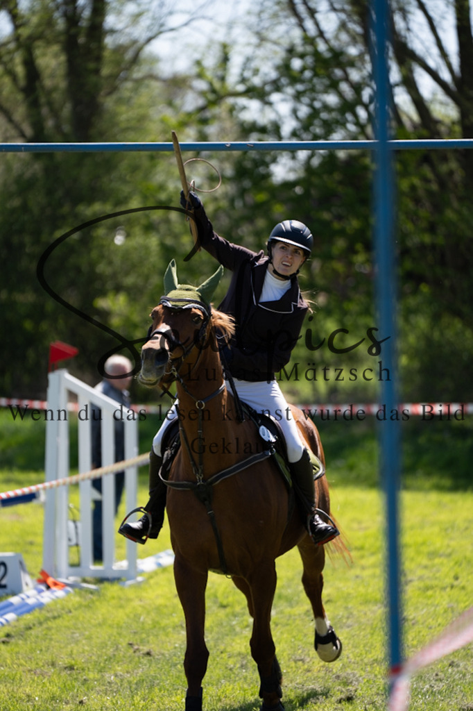 A7V01114 | Pferdefotograf